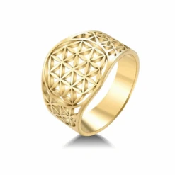 Bague Acier Inoxydable Femme : Subtile Harmonie