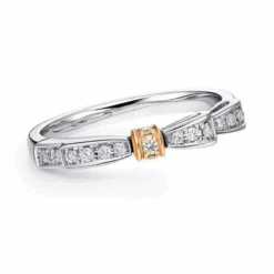 Bague De Promesse: Douce Alliance 6 Bague De Promesse: Douce Alliance -Samfuryus Soldes Boutique Bague de Promesse Douce Alliance 1